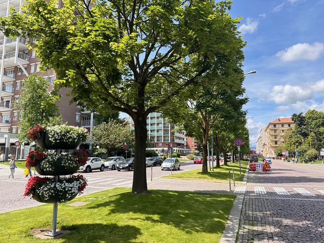 via lamarmora fiori